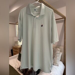 Men's Mint Green Striped Polo Shirt